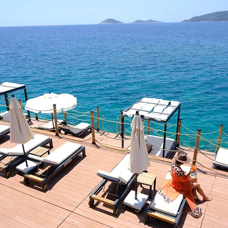 Lures Hotel